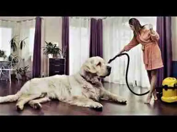 Video: 20 BIGGEST Dog Breeds in the World